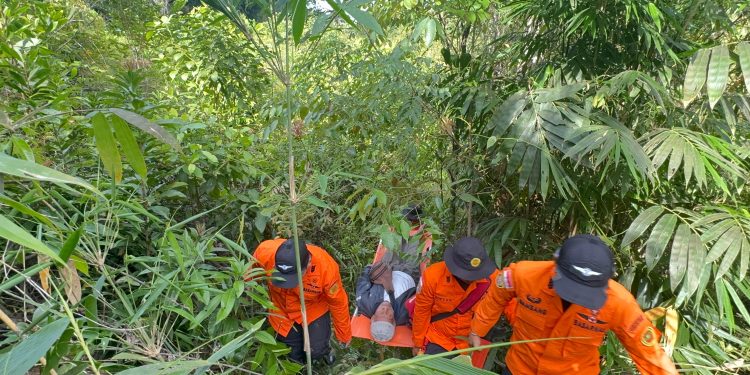 Sempat Hilang di Kebun Nanga-nanga, Pasangan Suami Istri Ditemukan Selamat