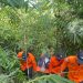 Sempat Hilang di Kebun Nanga-nanga, Pasangan Suami Istri Ditemukan Selamat
