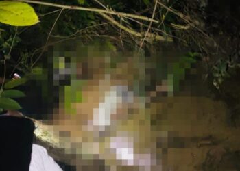 Warga Kota Kendari Digegerkan Penemuan Mayat di Selokan