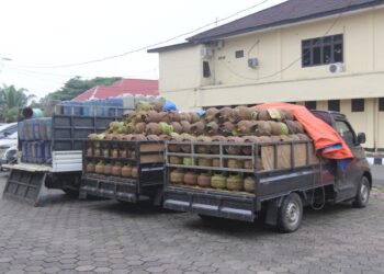 Polisi Berhasil Tangkap Pelaku Penyeludupan LPG 3 Kg dan BBM Subsidi