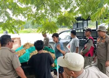 Satpol PP Kota Kendari Tertibkan PKL dan Bangunan Liar di Dua Lokasi