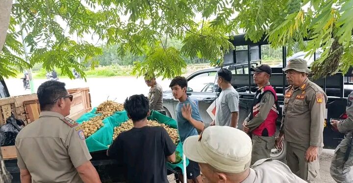 Satpol PP Kota Kendari Tertibkan PKL dan Bangunan Liar di Dua Lokasi
