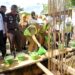 Pemkot Kendari Bangun Unit Pengelolaan Darah di Rumah Sakit