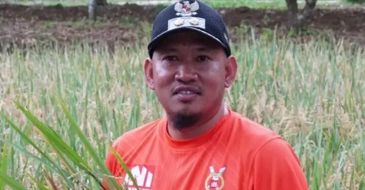 Wakil Wali Kota Kendari Sudirman Panen Padi Sawah di Tobuuha