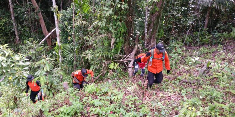 Empat Hari Pencarian, Warga Buton yang Hilang di Kebun Belum Ditemukan