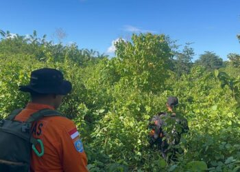 Lima Hari Hilang, Kakek di Buton Selatan Belum Ditemukan