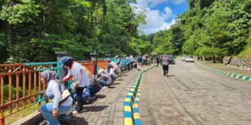 Persiapan UCLG ASPAC, Kebun Raya Kendari Dilakukan Penataan dan Pembenahan