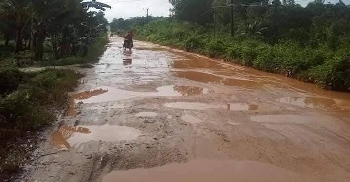 Warga Kecewa Jalan Provinsi di Lalembu Konawe Selatan Tidak Diaspal
