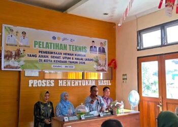 Pemkot Kendari Gelar Pelatihan Pemeriksaan dan Pengawasan Hewan Kurban Jelang Iduladha