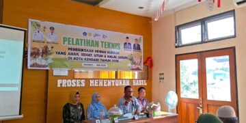 Pemkot Kendari Gelar Pelatihan Pemeriksaan dan Pengawasan Hewan Kurban Jelang Iduladha