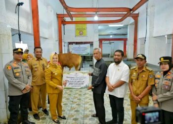 Wali Kota Kendari Pastikan Penyaluran Sapi Kurban Dari Presiden Prabowo Diterima Masyarakat yang Berhak