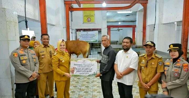 Wali Kota Kendari Pastikan Penyaluran Sapi Kurban Dari Presiden Prabowo Diterima Masyarakat yang Berhak