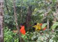 Tim Sar Terus Melakukan Pancarian Warga Konsel Hilang di Kebun