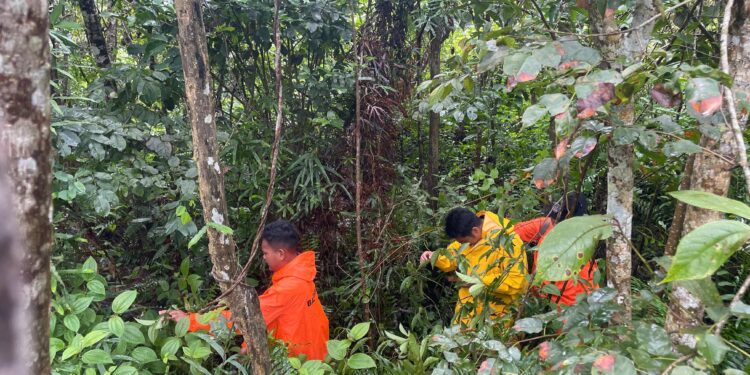 Tim Sar Terus Melakukan Pancarian Warga Konsel Hilang di Kebun