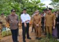 Mentan Amran Tinjau Kawasan Persawahan di Amohalo Kendari yang Terendam Banjir