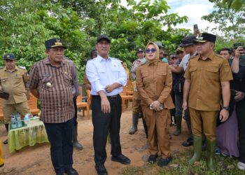 Mentan Amran Tinjau Kawasan Persawahan di Amohalo Kendari yang Terendam Banjir