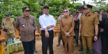 Mentan Amran Tinjau Kawasan Persawahan di Amohalo Kendari yang Terendam Banjir