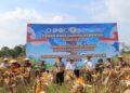 Pemprov Apresiasi Panen Raya Jagung Polda Sultra Dukung Ketahanan Pangan Nasional