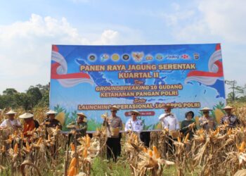 Pemprov Apresiasi Panen Raya Jagung Polda Sultra Dukung Ketahanan Pangan Nasional