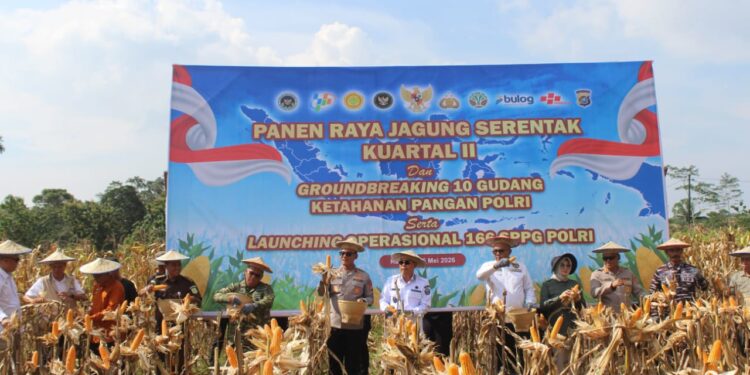 Pemprov Apresiasi Panen Raya Jagung Polda Sultra Dukung Ketahanan Pangan Nasional