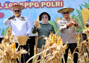 Wali Kota Kendari Hadiri Panen Raya Jagung Serentak dan Groundbreaking 10 Gudang Ketahanan Pangan Polri