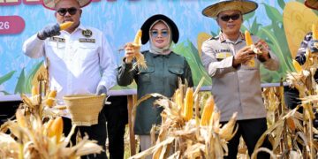 Wali Kota Kendari Hadiri Panen Raya Jagung Serentak dan Groundbreaking 10 Gudang Ketahanan Pangan Polri