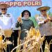 Wali Kota Kendari Hadiri Panen Raya Jagung Serentak dan Groundbreaking 10 Gudang Ketahanan Pangan Polri
