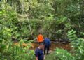 Warga Konsel yang Hilang di Kebun Belum Ditemukan