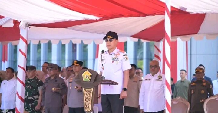 Tujuh Daerah di Sultra Tercatat Memiliki Risiko Tinggi Karhutla